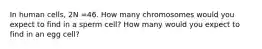 In human cells, 2N =46. How many chromosomes would you expect to find in a sperm cell? How many would you expect to find in an egg cell?