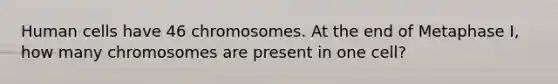 Human cells have 46 chromosomes. At the end of Metaphase I, how many chromosomes are present in one cell?