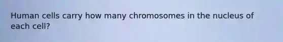 Human cells carry how many chromosomes in the nucleus of each cell?