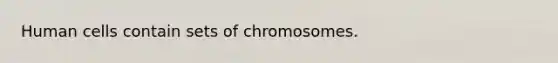 Human cells contain sets of chromosomes.