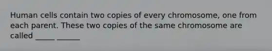 Human cells contain two copies of every chromosome, one from each parent. These two copies of the same chromosome are called _____ ______