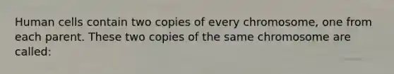 Human cells contain two copies of every chromosome, one from each parent. These two copies of the same chromosome are called: