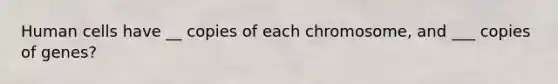 Human cells have __ copies of each chromosome, and ___ copies of genes?