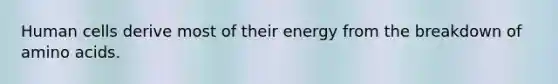 Human cells derive most of their energy from the breakdown of amino acids.