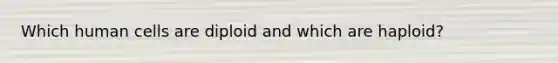 Which human cells are diploid and which are haploid?
