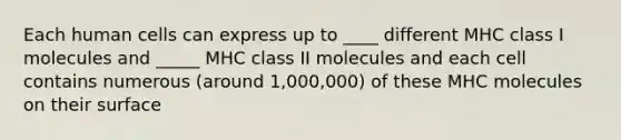 Each human cells can express up to ____ different MHC class I molecules and _____ MHC class II molecules and each cell contains numerous (around 1,000,000) of these MHC molecules on their surface