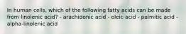 In human cells, which of the following fatty acids can be made from linolenic acid? - arachidonic acid - oleic acid - palmitic acid - alpha-linolenic acid