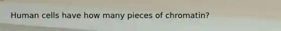 Human cells have how many pieces of chromatin?