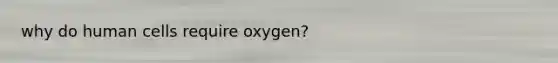 why do human cells require oxygen?