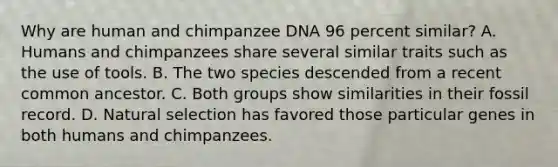 Why are human and chimpanzee DNA 96 percent similar? A. Humans and chimpanzees share several similar traits such as the use of tools. B. The two species descended from a recent common ancestor. C. Both groups show similarities in their fossil record. D. Natural selection has favored those particular genes in both humans and chimpanzees.