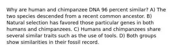 Why are human and chimpanzee DNA 96 percent similar? A) The two species descended from a recent common ancestor. B) Natural selection has favored those particular genes in both humans and chimpanzees. C) Humans and chimpanzees share several similar traits such as the use of tools. D) Both groups show similarities in their fossil record.