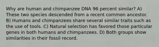 Why are human and chimpanzee DNA 96 percent similar? A) These two species descended from a recent common ancestor. B) Humans and chimpanzees share several similar traits such as the use of tools. C) Natural selection has favored those particular genes in both humans and chimpanzees. D) Both groups show similarities in their fossil record.