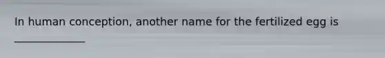 In human conception, another name for the fertilized egg is _____________