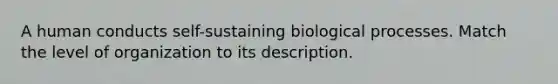 A human conducts self-sustaining biological processes. Match the level of organization to its description.