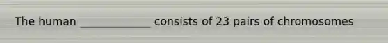 The human _____________ consists of 23 pairs of chromosomes