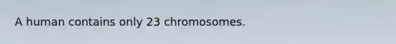 A human contains only 23 chromosomes.