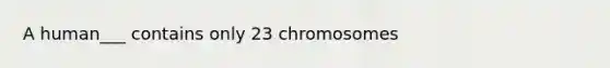 A human___ contains only 23 chromosomes