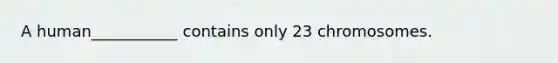 A human___________ contains only 23 chromosomes.