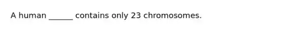 A human ______ contains only 23 chromosomes.