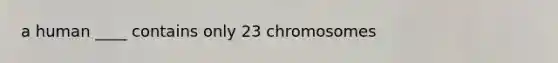 a human ____ contains only 23 chromosomes