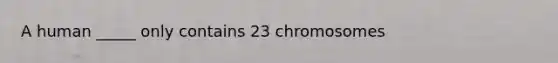 A human _____ only contains 23 chromosomes