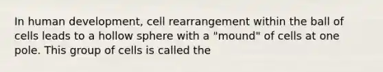 In human development, cell rearrangement within the ball of cells leads to a hollow sphere with a "mound" of cells at one pole. This group of cells is called the