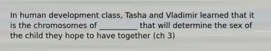 In human development class, Tasha and Vladimir learned that it is the chromosomes of __________ that will determine the sex of the child they hope to have together (ch 3)