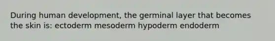 During human development, the germinal layer that becomes the skin is: ectoderm mesoderm hypoderm endoderm