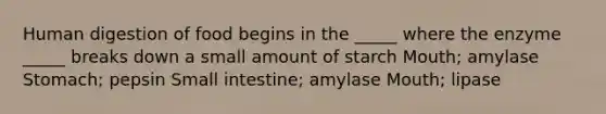 Human digestion of food begins in the _____ where the enzyme _____ breaks down a small amount of starch Mouth; amylase Stomach; pepsin Small intestine; amylase Mouth; lipase