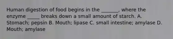 Human digestion of food begins in the _______, where the enzyme _____ breaks down a small amount of starch. A. Stomach; pepsin B. Mouth; lipase C. small intestine; amylase D. Mouth; amylase