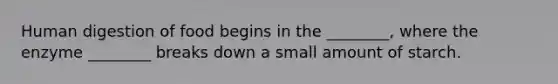 Human digestion of food begins in the ________, where the enzyme ________ breaks down a small amount of starch.