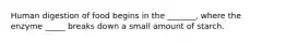 Human digestion of food begins in the _______, where the enzyme _____ breaks down a small amount of starch.