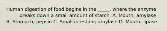 Human digestion of food begins in the _____, where the enzyme _____ breaks down a small amount of starch. A. Mouth; amylase B. Stomach; pepsin C. Small intestine; amylase D. Mouth; lipase