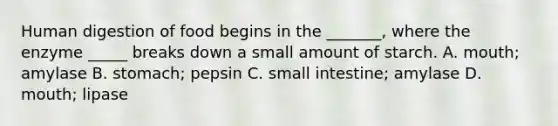 Human digestion of food begins in the _______, where the enzyme _____ breaks down a small amount of starch. A. mouth; amylase B. stomach; pepsin C. small intestine; amylase D. mouth; lipase