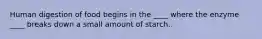 Human digestion of food begins in the ____ where the enzyme ____ breaks down a small amount of starch.