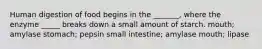 Human digestion of food begins in the _______, where the enzyme _____ breaks down a small amount of starch. mouth; amylase stomach; pepsin small intestine; amylase mouth; lipase