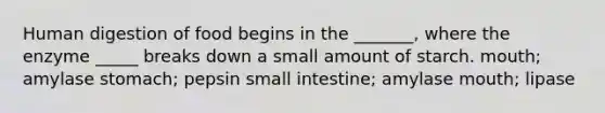 Human digestion of food begins in the _______, where the enzyme _____ breaks down a small amount of starch. mouth; amylase stomach; pepsin small intestine; amylase mouth; lipase