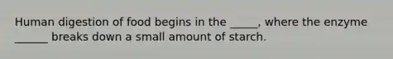 Human digestion of food begins in the _____, where the enzyme ______ breaks down a small amount of starch.