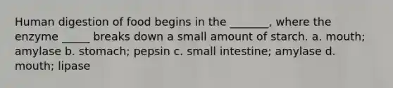 Human digestion of food begins in the _______, where the enzyme _____ breaks down a small amount of starch. a. mouth; amylase b. stomach; pepsin c. small intestine; amylase d. mouth; lipase