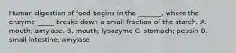 Human digestion of food begins in the _______, where the enzyme _____ breaks down a small fraction of the starch. A. mouth; amylase. B. mouth; lysozyme C. stomach; pepsin D. small intestine; amylase