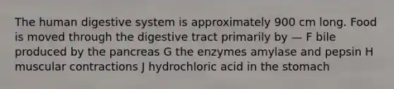 The human digestive system is approximately 900 cm long. Food is moved through the digestive tract primarily by — F bile produced by the pancreas G the enzymes amylase and pepsin H muscular contractions J hydrochloric acid in the stomach