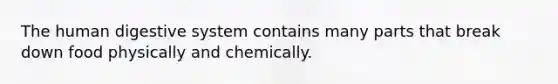 The human digestive system contains many parts that break down food physically and chemically.