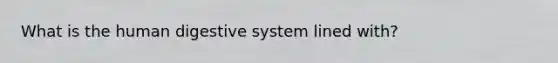 What is the human digestive system lined with?