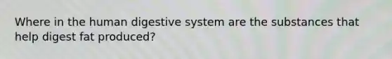 Where in the human digestive system are the substances that help digest fat produced?