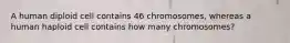 A human diploid cell contains 46 chromosomes, whereas a human haploid cell contains how many chromosomes?