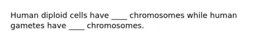 Human diploid cells have ____ chromosomes while human gametes have ____ chromosomes.​