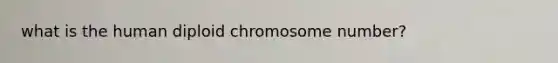 what is the human diploid chromosome number?