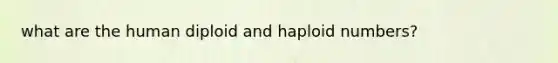 what are the human diploid and haploid numbers?