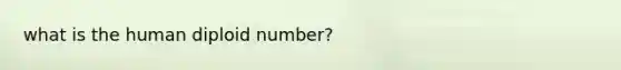 what is the human diploid number?