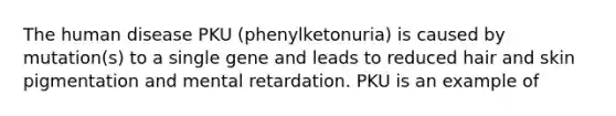 The human disease PKU (phenylketonuria) is caused by mutation(s) to a single gene and leads to reduced hair and skin pigmentation and mental retardation. PKU is an example of